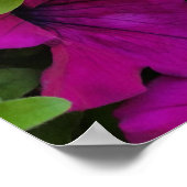 bloemen op stoep poster (Hoek)