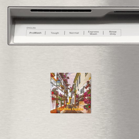 Bloemen op straat. Cordoba, Andalusië, Spanje. Magneet (Insitu (Vaatwasser))