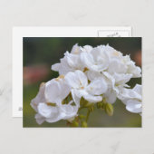 Bloemen op Tenerife Briefkaart (Voorkant / Achterkant)