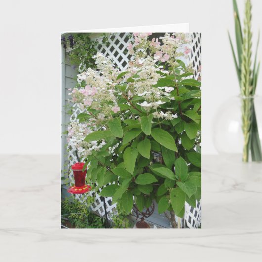 Bloemen op Trellis & Hummingbird Feeder Kaart (Voorkant)