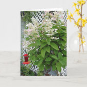 Bloemen op Trellis & Hummingbird Feeder Kaart (Gele Bloem)
