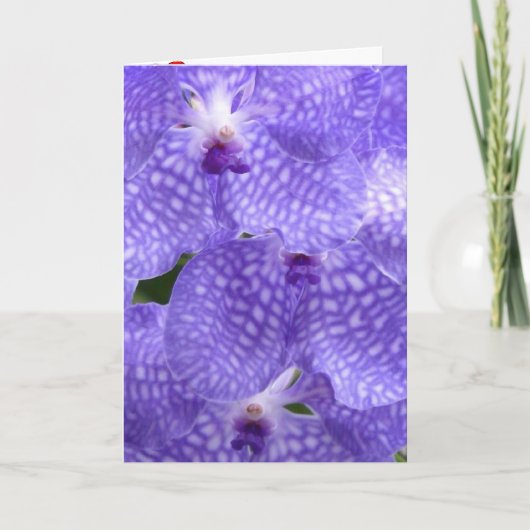 Bloemen Orchideeën Vrede Liefde Lotsbestemming Bedankkaart (Voorkant)