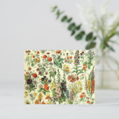  bloemen oude illustratie kunst briefkaart (Staand voorkant)