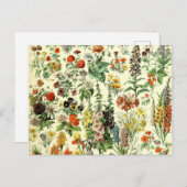  bloemen oude illustratie kunst briefkaart (Voorkant / Achterkant)