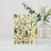  bloemen oude illustratie kunst briefkaart (Staand voorkant)