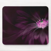 Bloemen | Paarse Daisy Muismat (Voorkant)