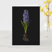 Bloemen | Paarse Hyacinth Bulb Kaart (Gele Bloem)