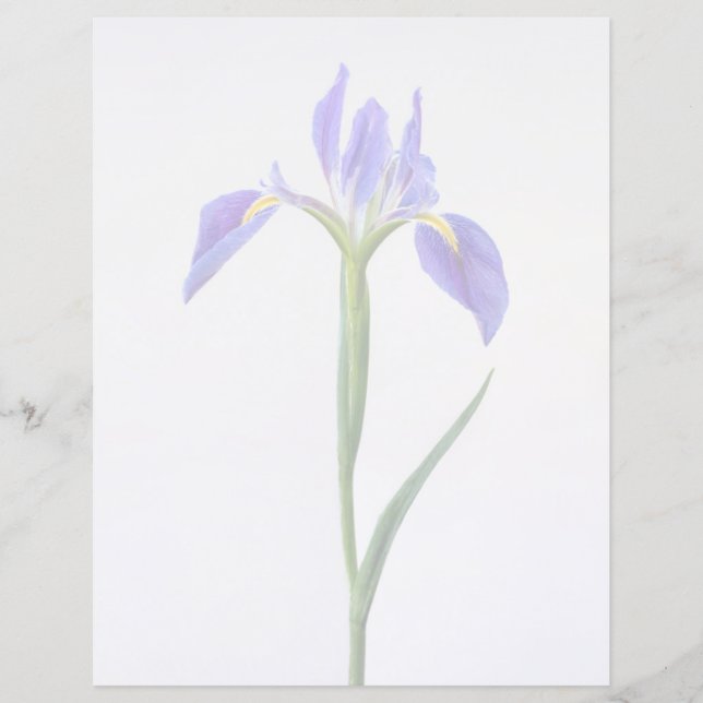 Bloemen | Paarse Iris-ventilator (Voorkant)