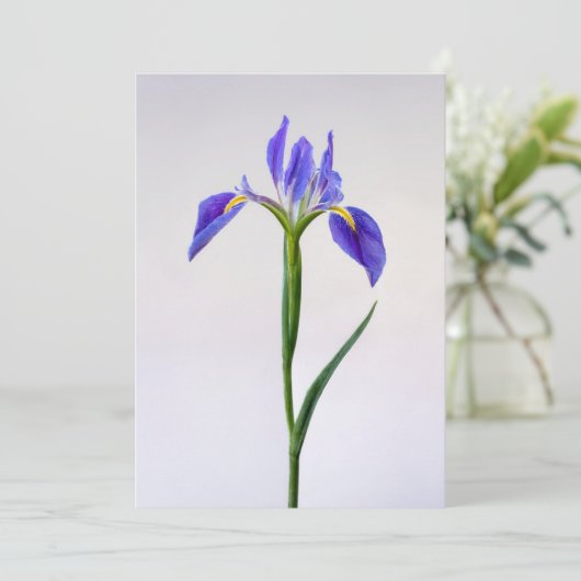 Bloemen | Paarse Iris-ventilator Bedankkaart (Staand voorkant)