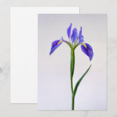 Bloemen | Paarse Iris-ventilator Bedankkaart (Voorkant / Achterkant)
