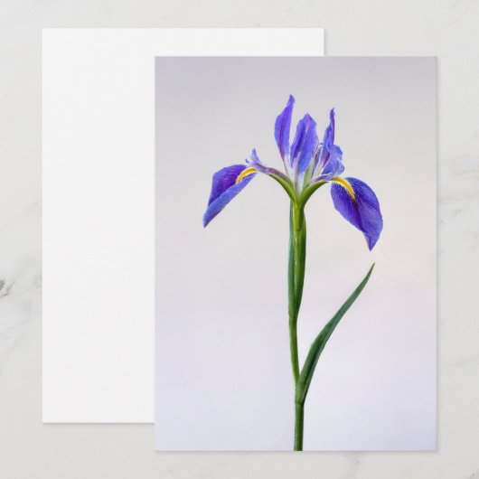 Bloemen | Paarse Iris-ventilator Bedankkaart (Voorkant / Achterkant)