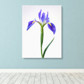 Bloemen | Paarse Iris-ventilator Canvas Afdruk (Insitu (Houten vloer))
