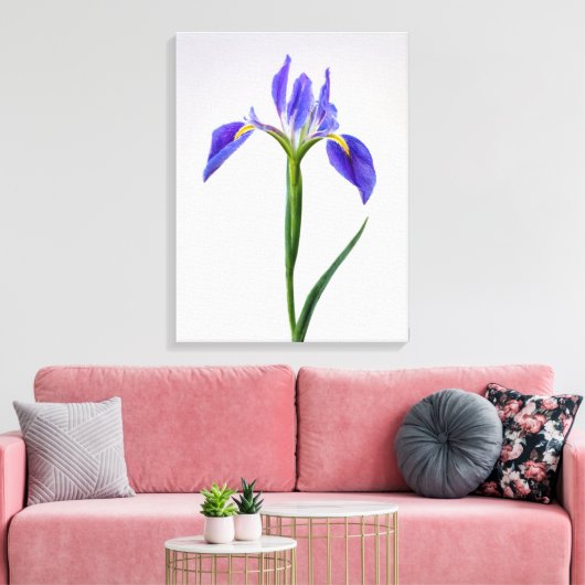 Bloemen | Paarse Iris-ventilator Canvas Afdruk (Insitu (Woonkamer))