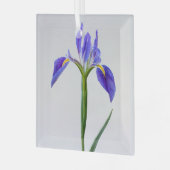 Bloemen | Paarse Iris-ventilator Glas Ornament (Voorkant links)
