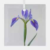 Bloemen | Paarse Iris-ventilator Glas Ornament (Voorkant)