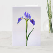 Bloemen | Paarse Iris-ventilator Kaart (Voorkant)