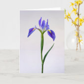 Bloemen | Paarse Iris-ventilator Kaart (Gele Bloem)