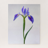 Bloemen | Paarse Iris-ventilator Legpuzzel (Verticaal)