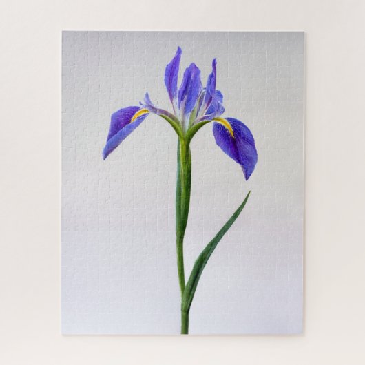 Bloemen | Paarse Iris-ventilator Legpuzzel (Verticaal)