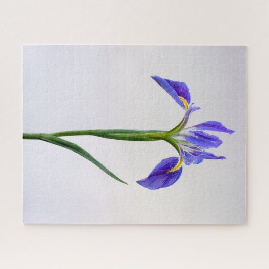 Bloemen | Paarse Iris-ventilator Legpuzzel (Horizontaal)