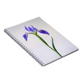 Bloemen | Paarse Iris-ventilator Notitieboek (Rechterzijde)