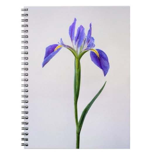 Bloemen | Paarse Iris-ventilator Notitieboek (Voorkant)