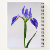 Bloemen | Paarse Iris-ventilator Notitieboek (Achterkant)