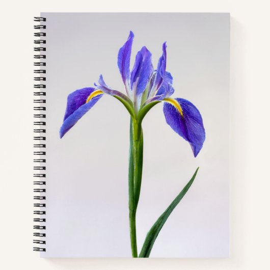Bloemen | Paarse Iris-ventilator Notitieboek (Voorkant)