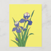  bloemen, Paarse lentestuin Iris bloemen Briefkaart (Voorkant)