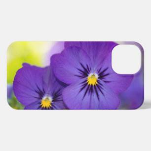 Bloemen   Paarse Pansies iPhone 13 Hoesje