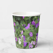 Bloemen Paarse Tuin Petunia Bloemen Foto Cool Papieren Bekers (Links)