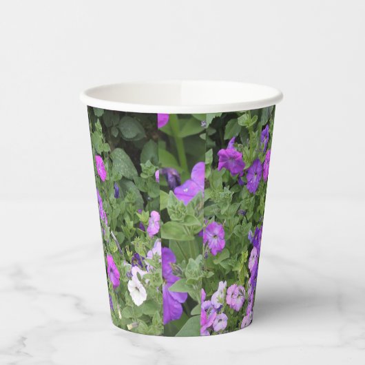 Bloemen Paarse Tuin Petunia Bloemen Foto Cool Papieren Bekers (Links)