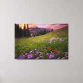 Bloemen | Paarse wilde bloemen Colorado Canvas Afdruk (Voorkant)
