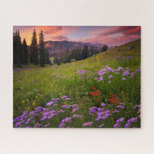 Bloemen   Paarse wilde bloemen Colorado Legpuzzel