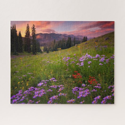 Bloemen | Paarse wilde bloemen Colorado Legpuzzel (Horizontaal)