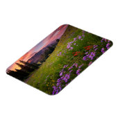 Bloemen | Paarse wilde bloemen Colorado Magneet (Linkerzijde)