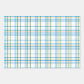 Bloemen Paasei & Wortelen Inpakpapier Vel (Voorkant 3)