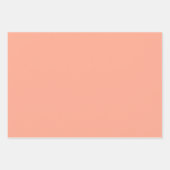 Bloemen pastel rust inpakpapier vel (Voorkant 3)