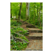 Bloemen Perfect Poster (Voorkant)