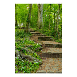 Bloemen Perfect Poster