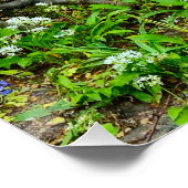 Bloemen Perfect Poster (Hoek)