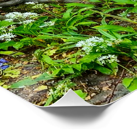 Bloemen Perfect Poster (Hoek)