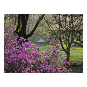 Bloemen Perfect Poster