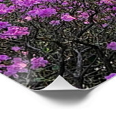 Bloemen Perfect Poster (Hoek)