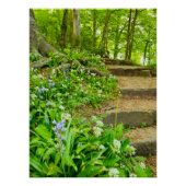 Bloemen Perfect Poster (Voorkant)