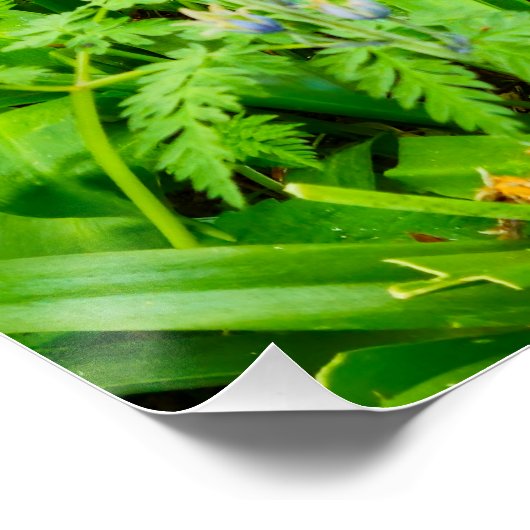 Bloemen Perfect Poster (Hoek)