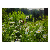 Bloemen Perfect Poster (Voorkant)