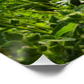 Bloemen Perfect Poster (Hoek)