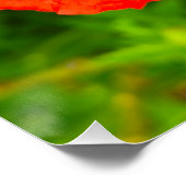 Bloemen Perfect Poster (Hoek)