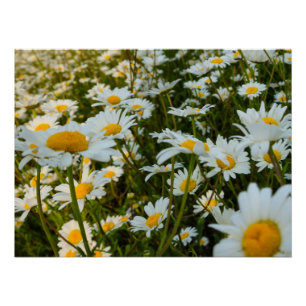 Bloemen Perfect Poster
